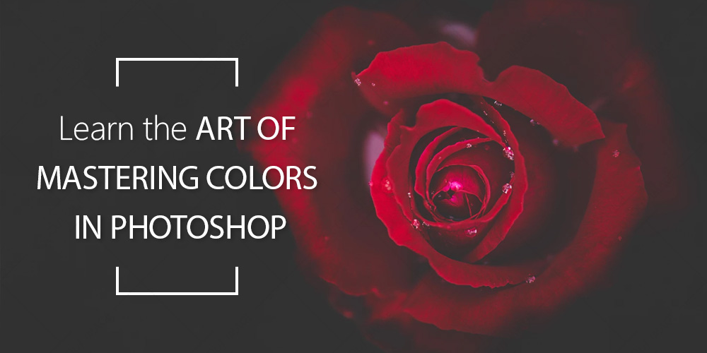 Learn the Art of Mastering Colors in Photoshop