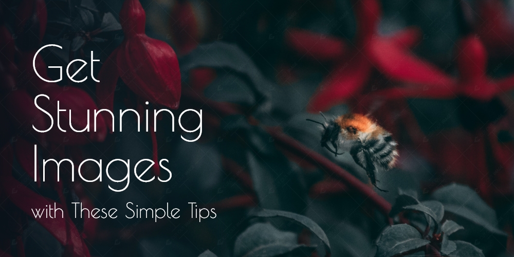 Get Stunning Images with These Simple Tips