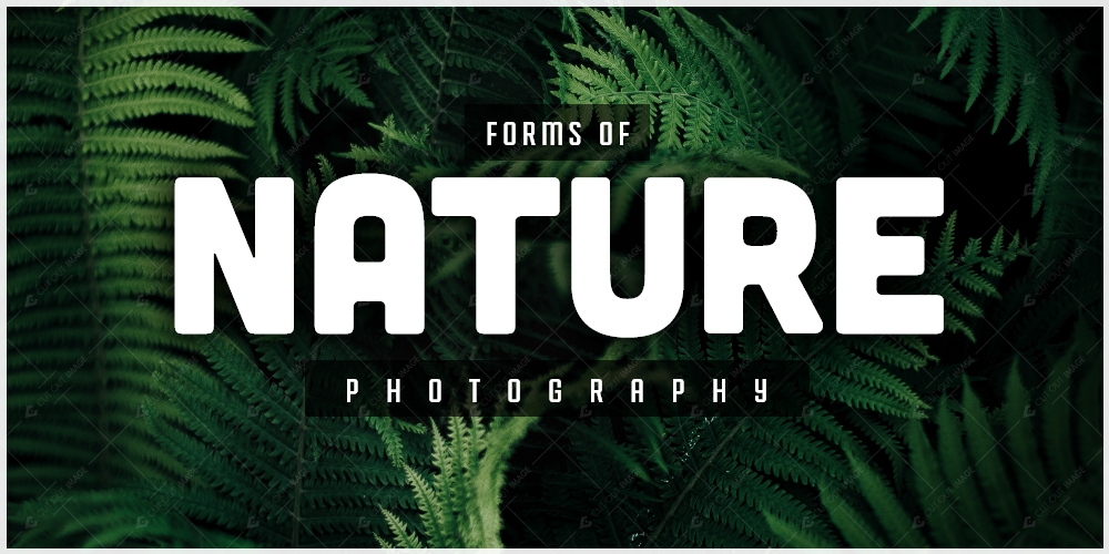 Forms of Nature Photography