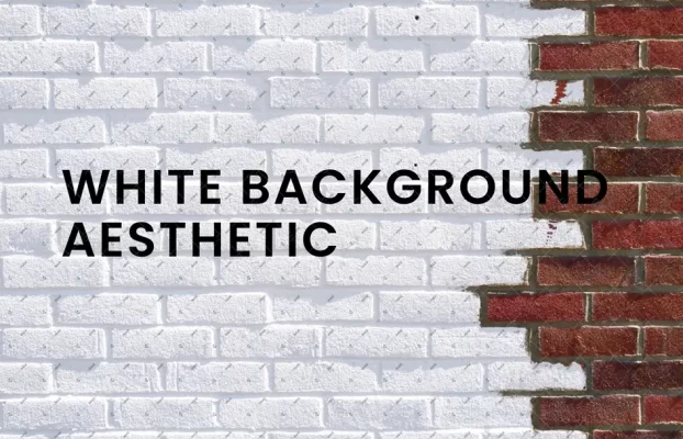 White Background Aesthetic