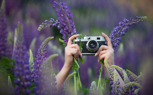 Flower Photography Tools