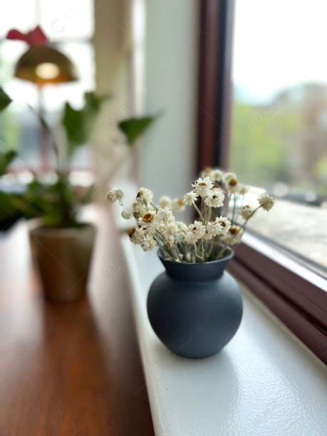 Indoor Life With Flower