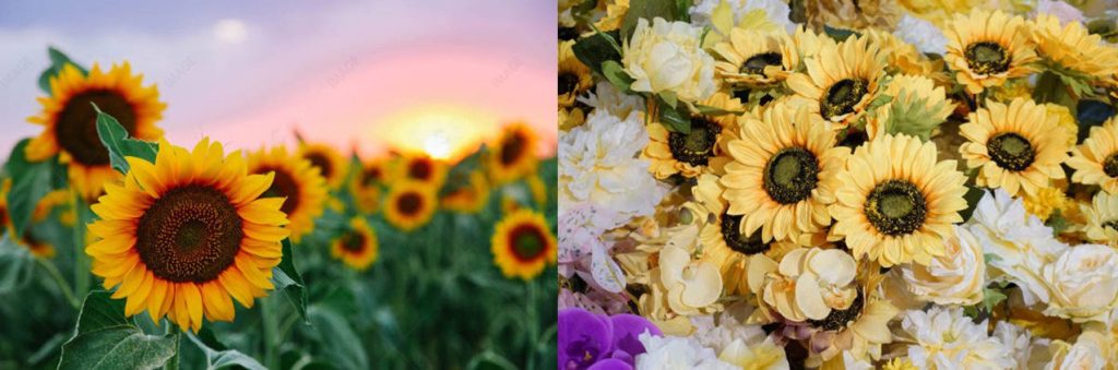 Natural vs. Artificial Flower