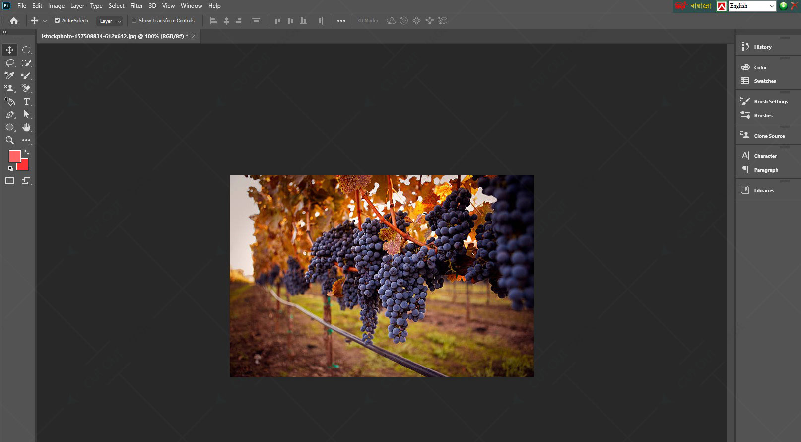 Open Photoshop with a blank canvas