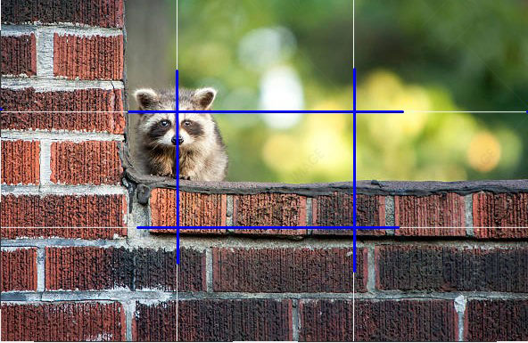 Rule of Thirds in Photography