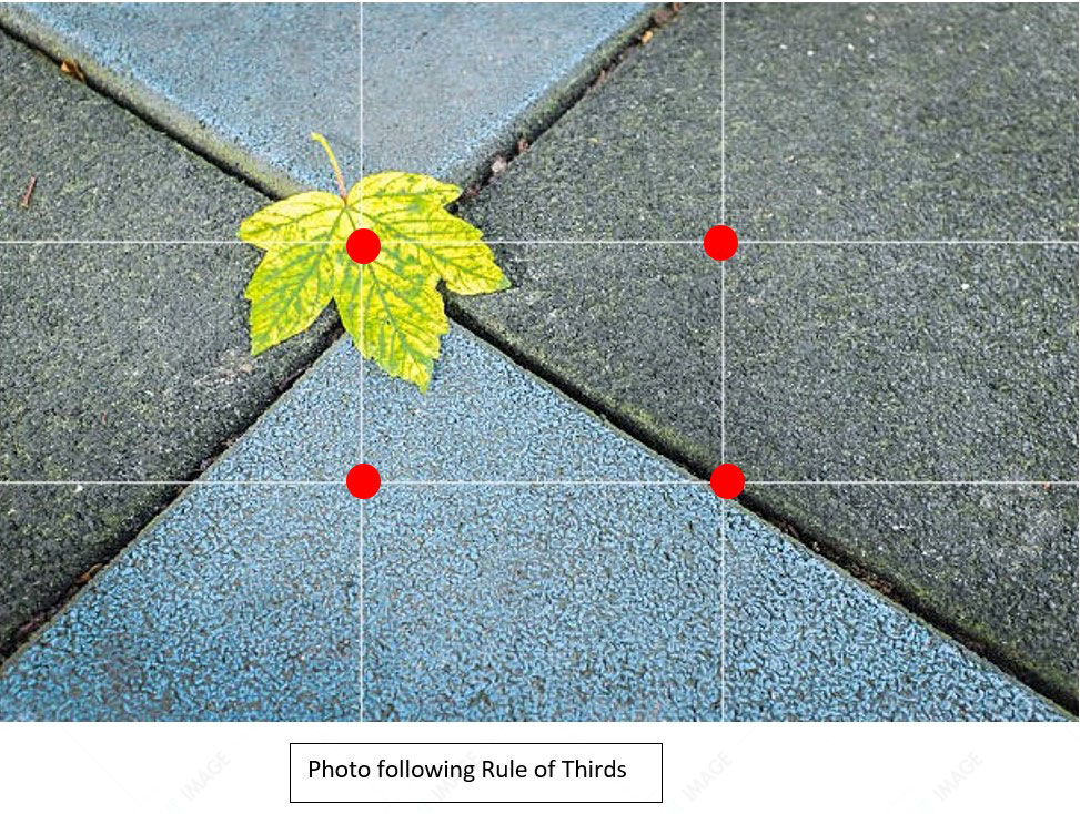 Rule of Thirds in Photography