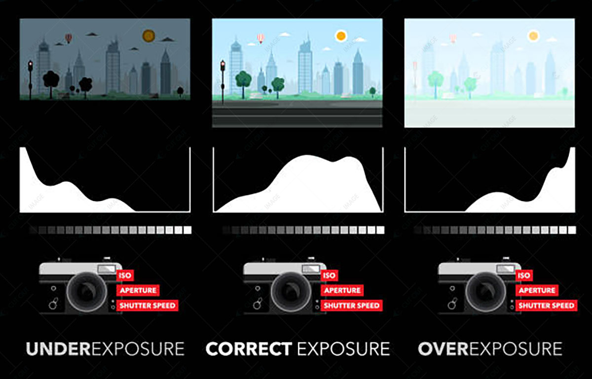 Histogram Basic Panel