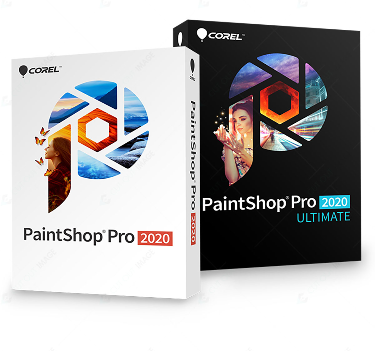 Using PaintShop Pro