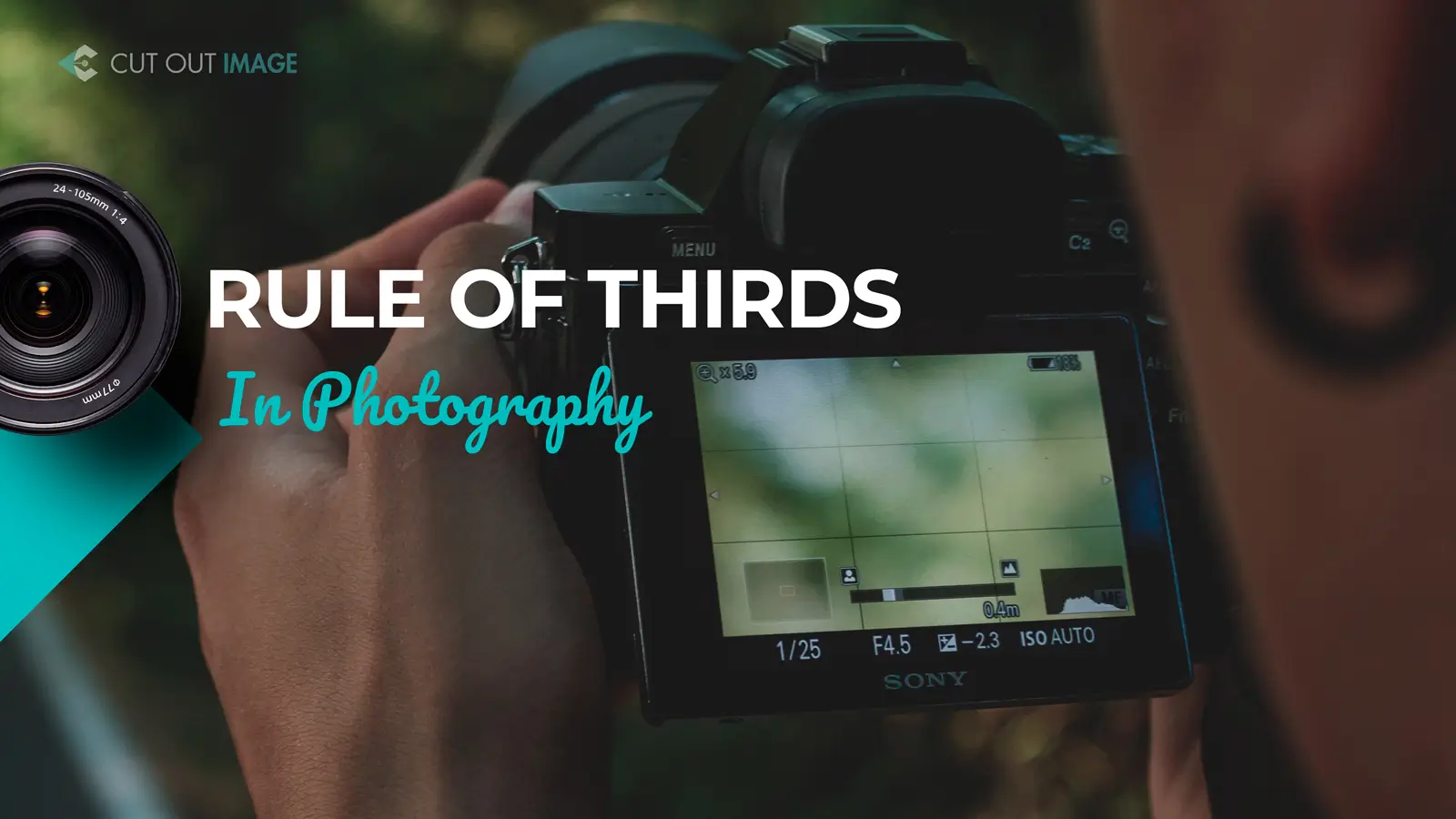 Rule of Thirds in Photography [ A Complete Guide ]