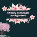 Cherry Blossoms Background