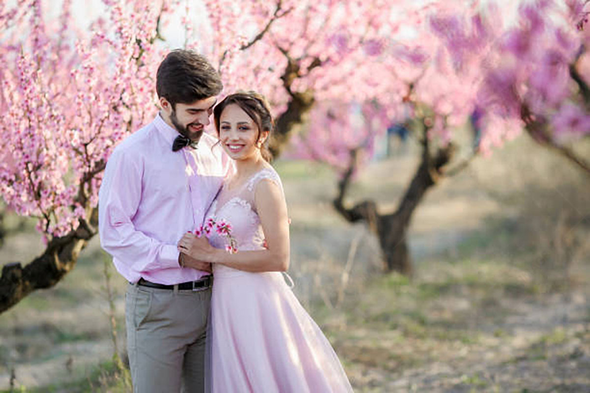 Wedding photos in Cherry Blossoms Background