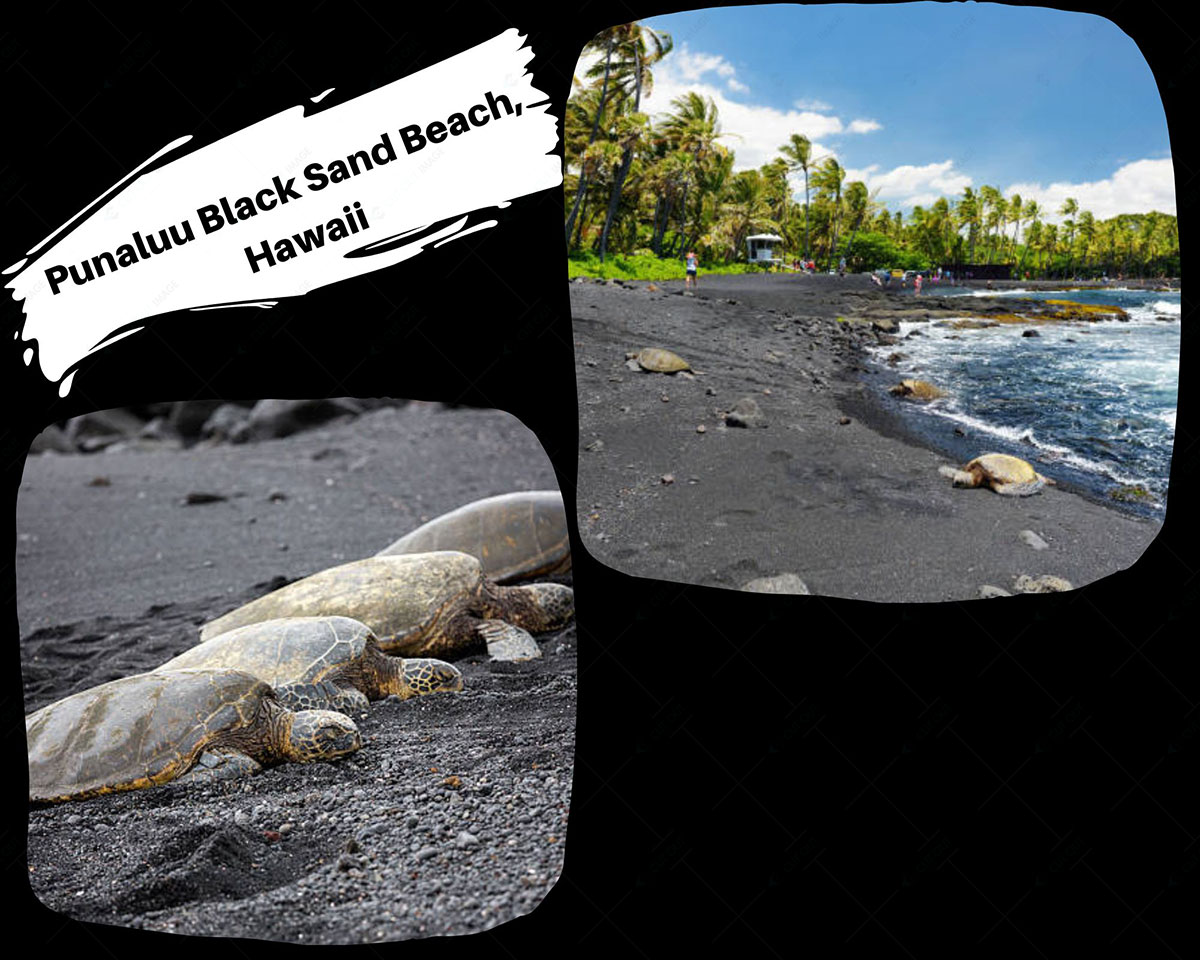 Punaluu Black Sand Beach, Hawaii