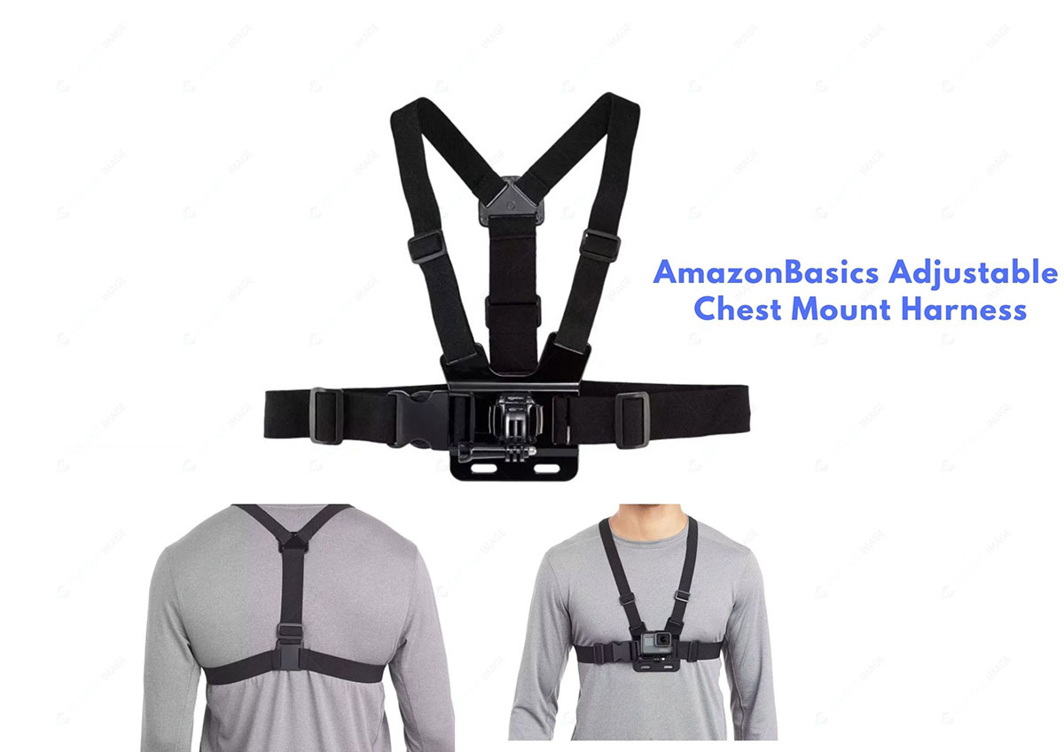 Amazon Basics Adjustable Chest Mount Harness