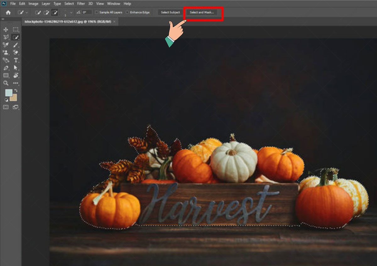 Cut Out an Image with Select and Mask