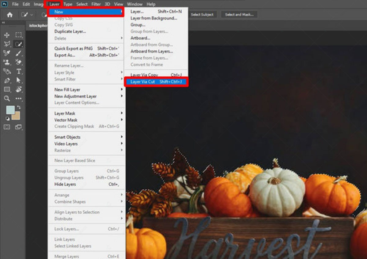 Cut Out an Image with Select and Mask