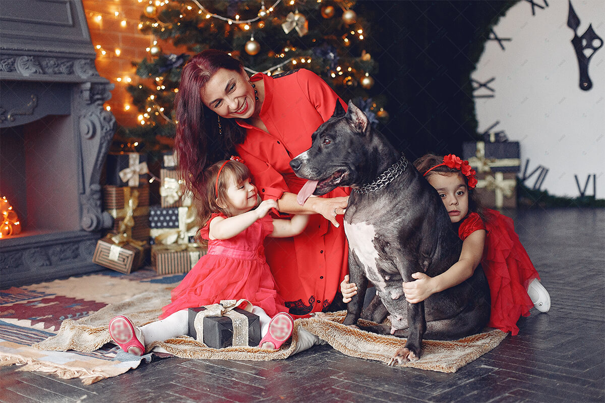 Include Pet in Family Christmas Photo ideas
