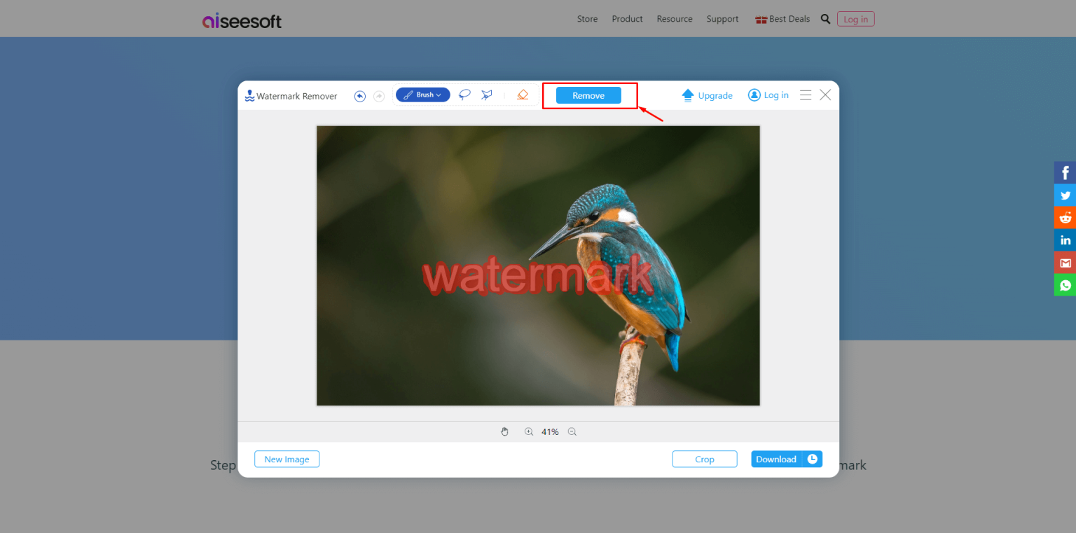 How to Remove Watermarks From Photos