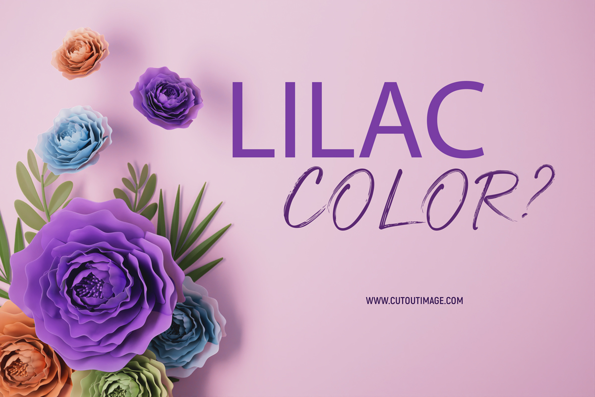 The Lilac Color : A Trendy and Versatile Choice for Fashion