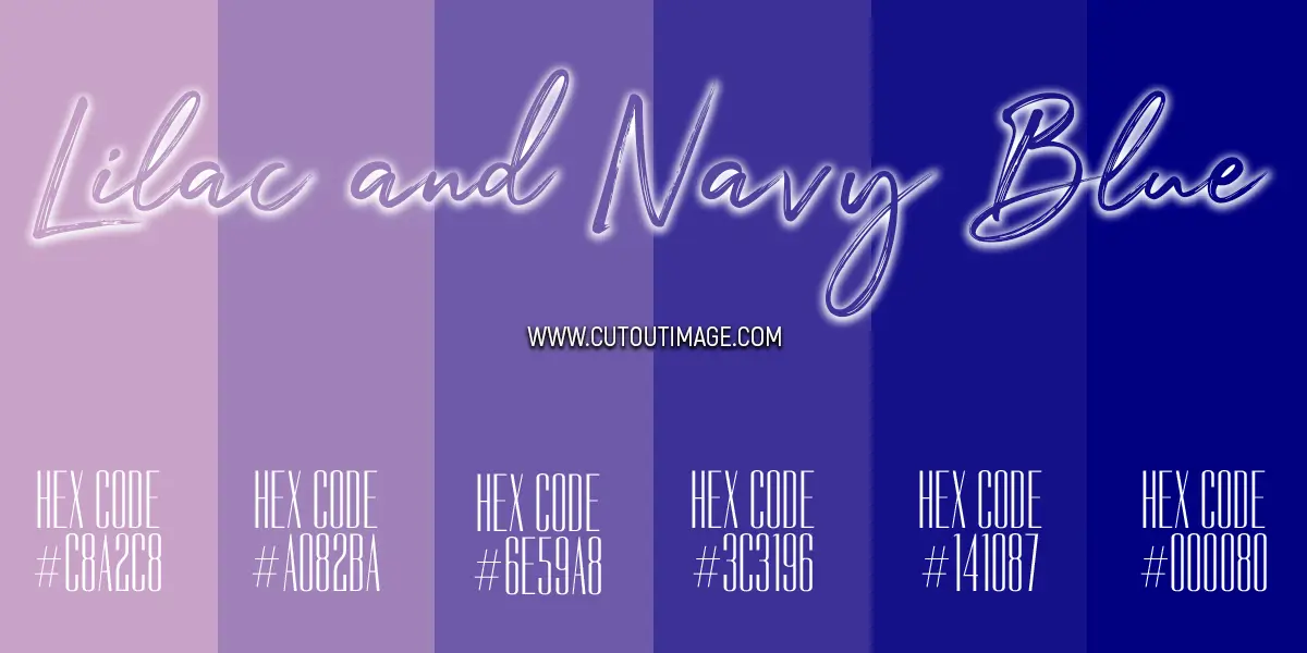 Lilac and Navy Blue