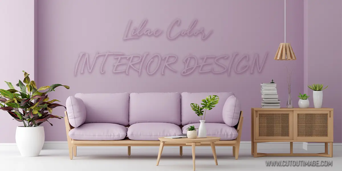 Enchanting Applications of Lilac Colors