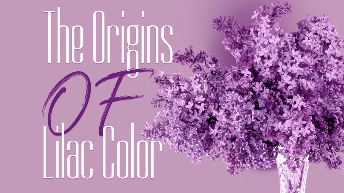 The Origins of Lilac Color