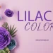 Lilac Color