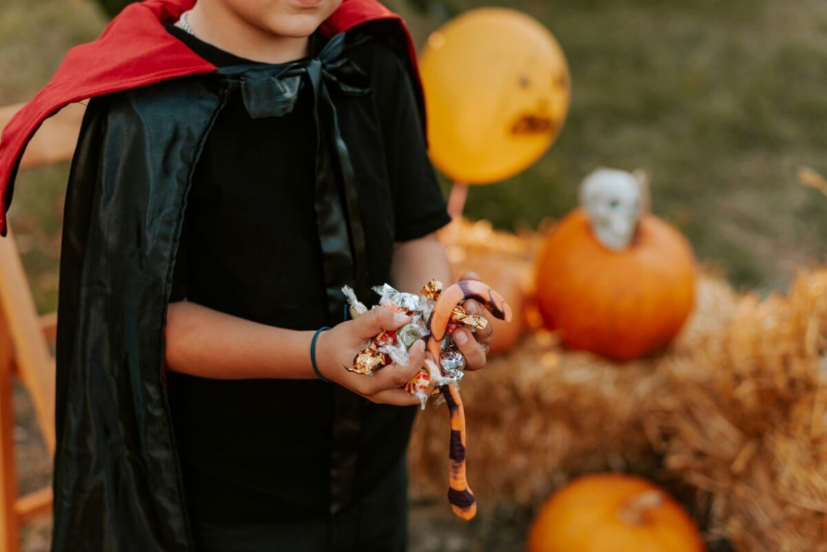Importance of Seasonal Photo Editing