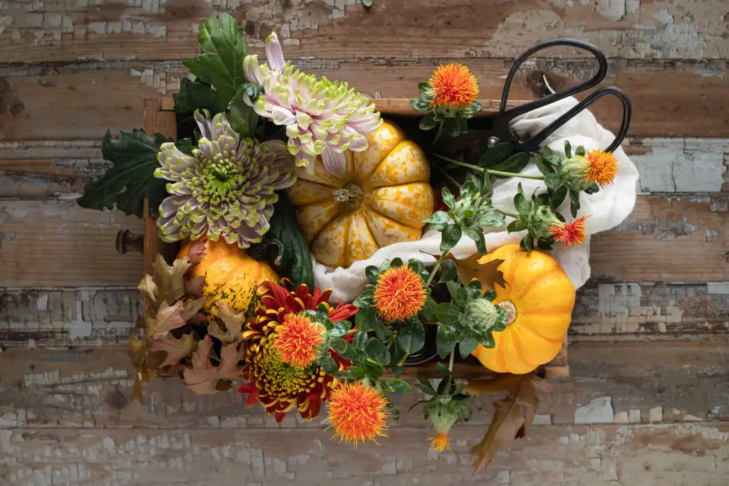 Why Autumn-Themed Product Photos Matter for eCommerce